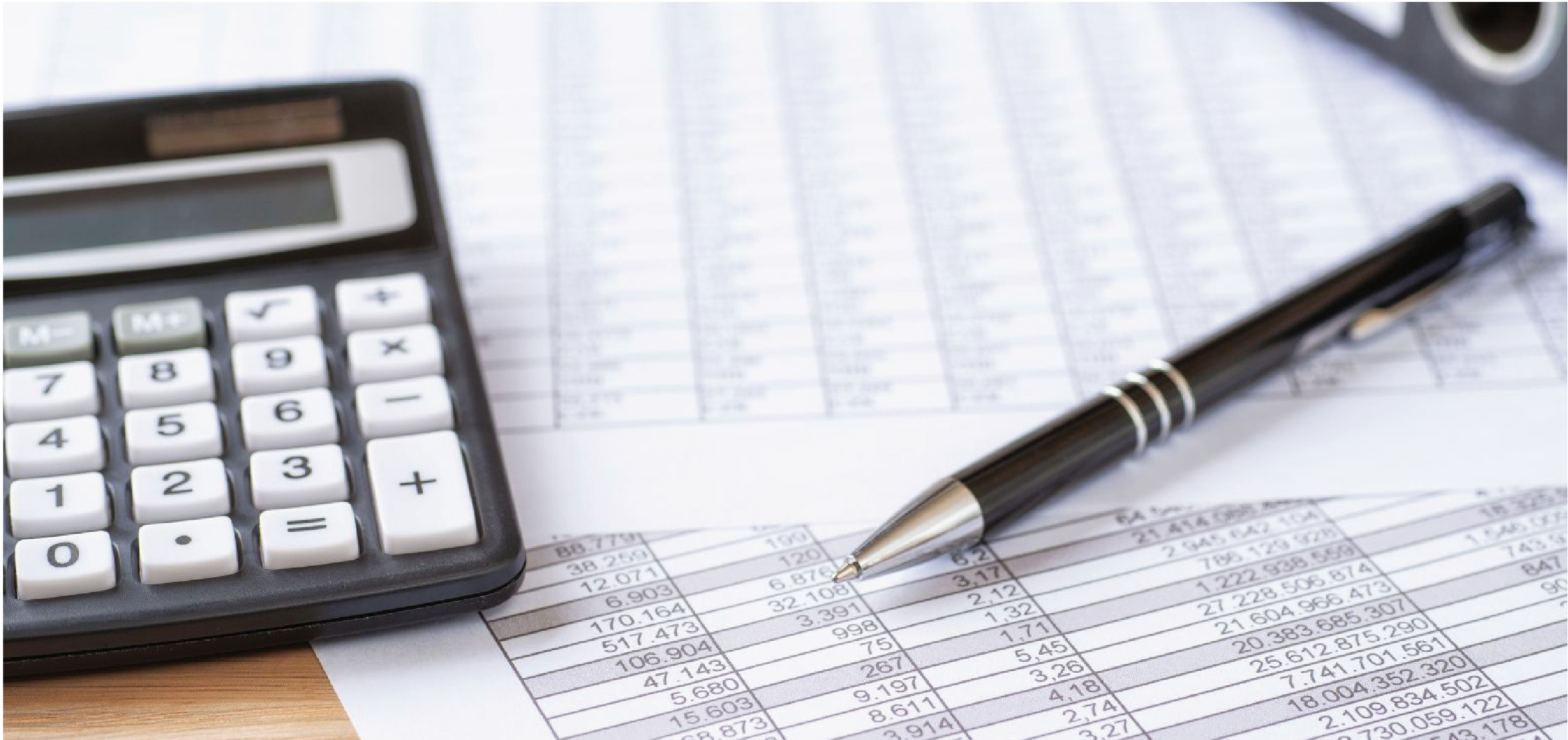 Tenue de livres TENUE DE LIVRES WEB