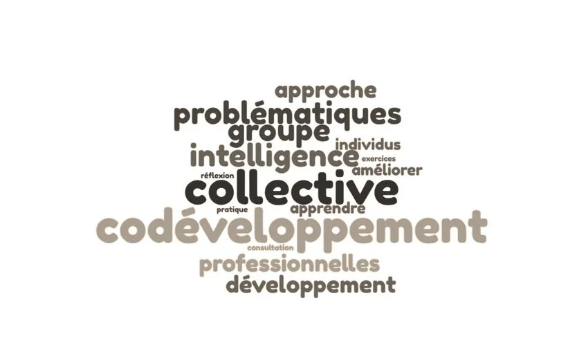 Codev Nuage Mots SEPIA