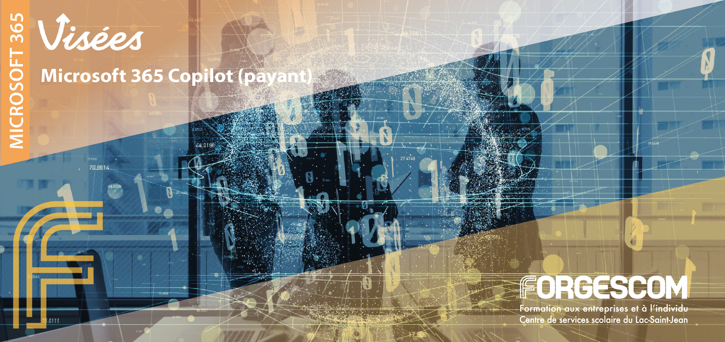 Microsoft 365 Copilot (payant) – Programme Visées VLISÉES WEB M365 COPILOT PAYANT M2