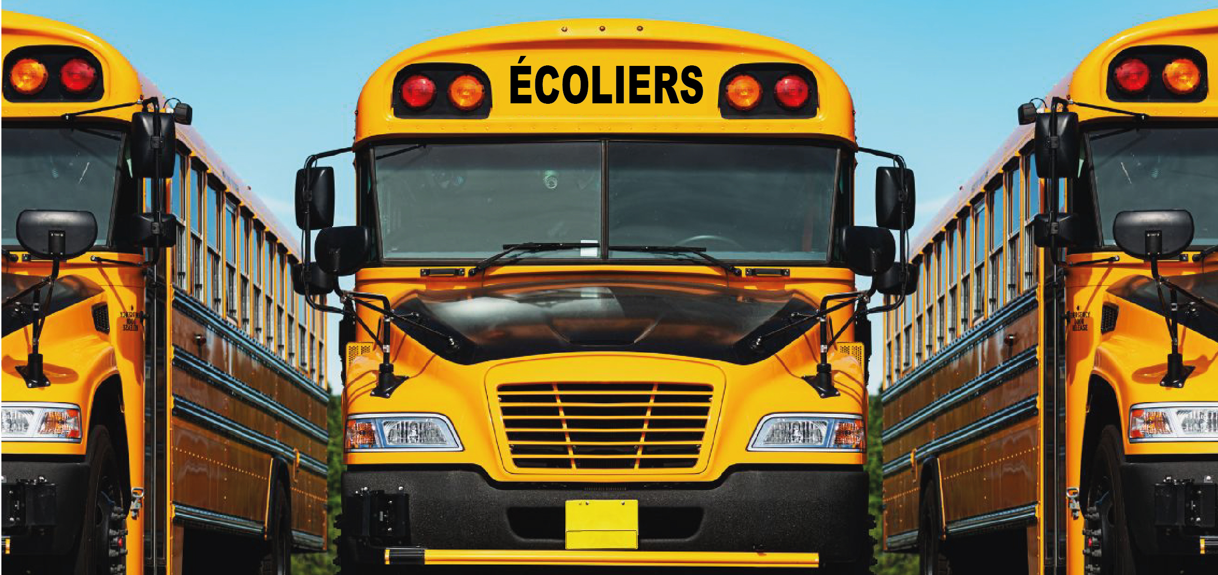 AUTOBUS SCOLAIRE 4