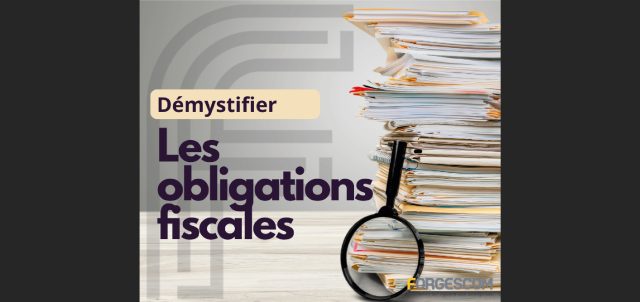 MÉLANIE OBLIGATIONS FISCALES WEB