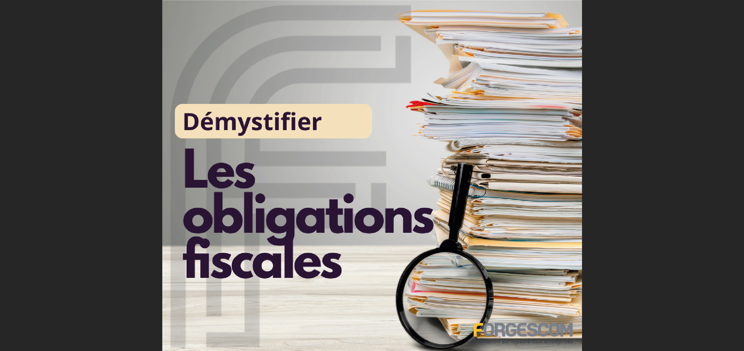 Démystifier vos obligations fiscales MÉLANIE OBLIGATIONS FISCALES WEB