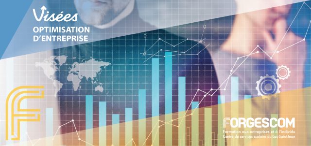 VISÉES OPTIMISATION WEB GÉNÉRAL 2