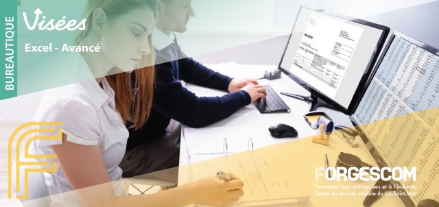VISÉES WEB BUREAUTIQUE EXCEL AVANCÉ