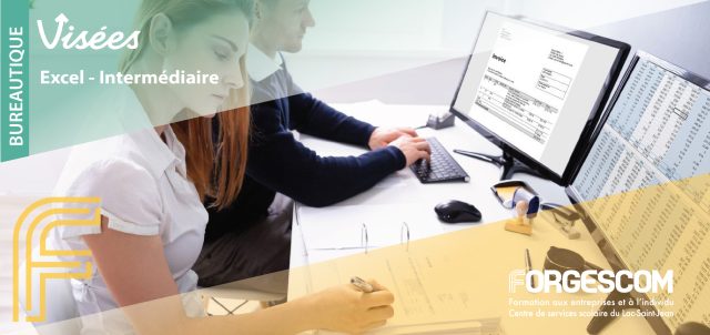 VISÉES WEB BUREAUTIQUE EXCEL INTERMÉDIAIRE