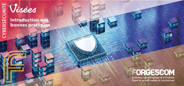 VISÉES WEB CYBER INTRODUCTION BONNES PRATIQUES