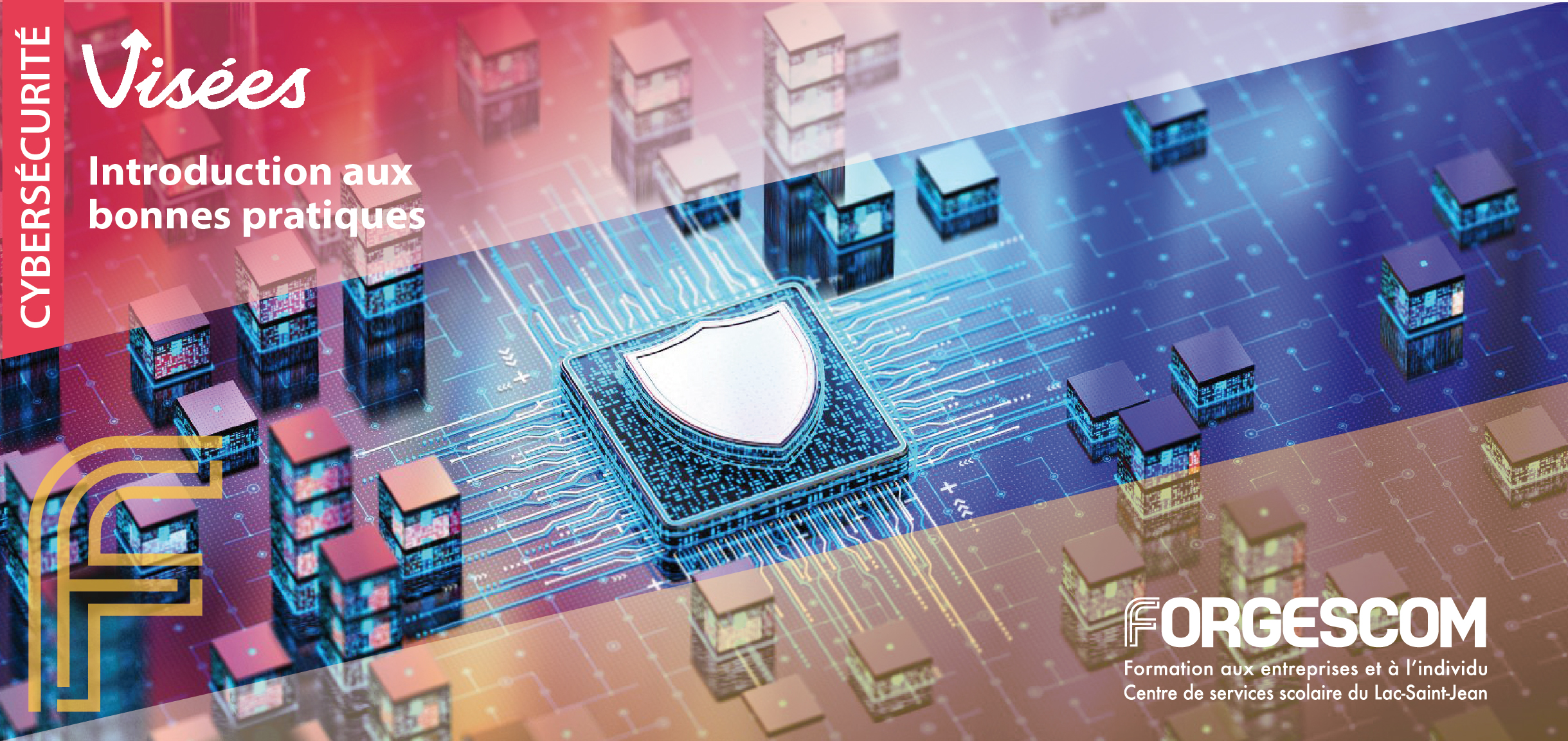 VISÉES WEB CYBER INTRODUCTION BONNES PRATIQUES