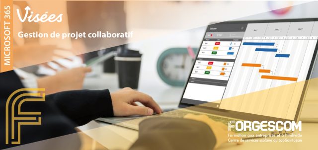 VISÉES WEB GESTION DE PROJET
