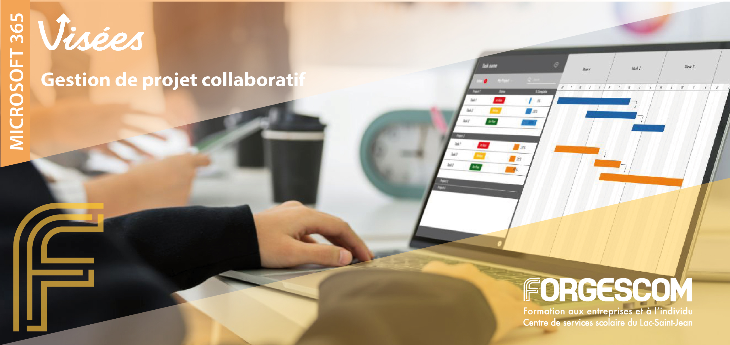 Gestion de projet collaboratif (Programme Visées) VISÉES WEB GESTION DE PROJET