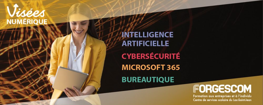 VISÉES WEB NUMÉRIQUE CARROUSEL 2