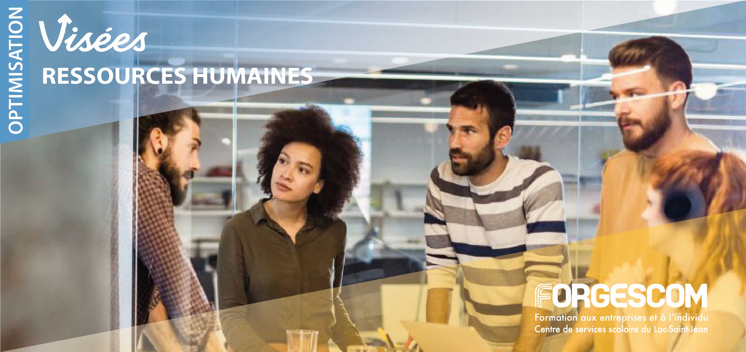 Optimisation d’entreprise : Ressources humaines (Programme Visées) VISÉES OPTIMISATION WEB RH 2