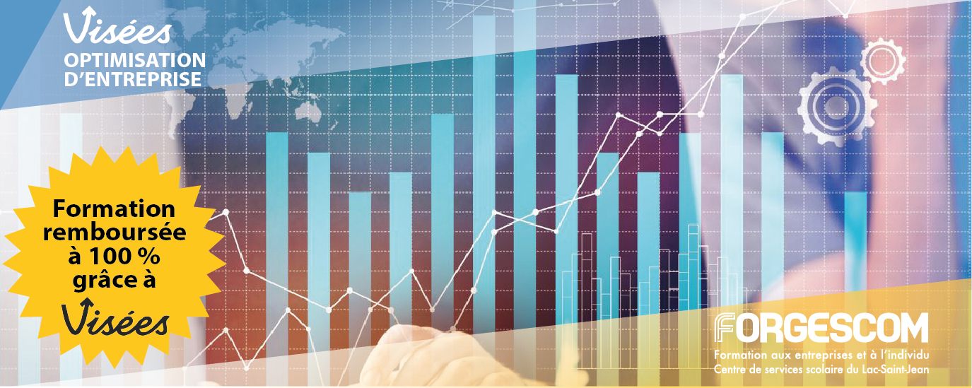 OPTIMISATION ENTREPRISE GÉNÉRAL CARROUSEL