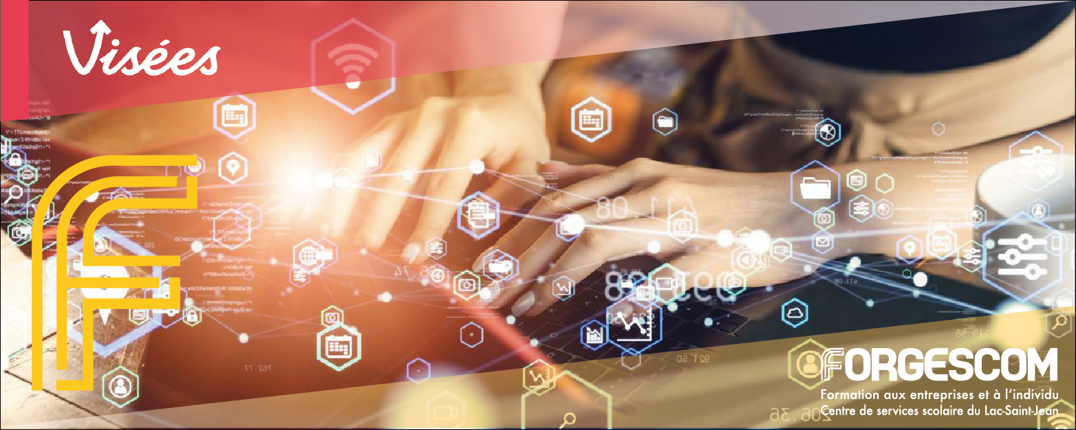 VISÉES WEB CHANGEMENT NUMÉRIQUE CARROUSEL