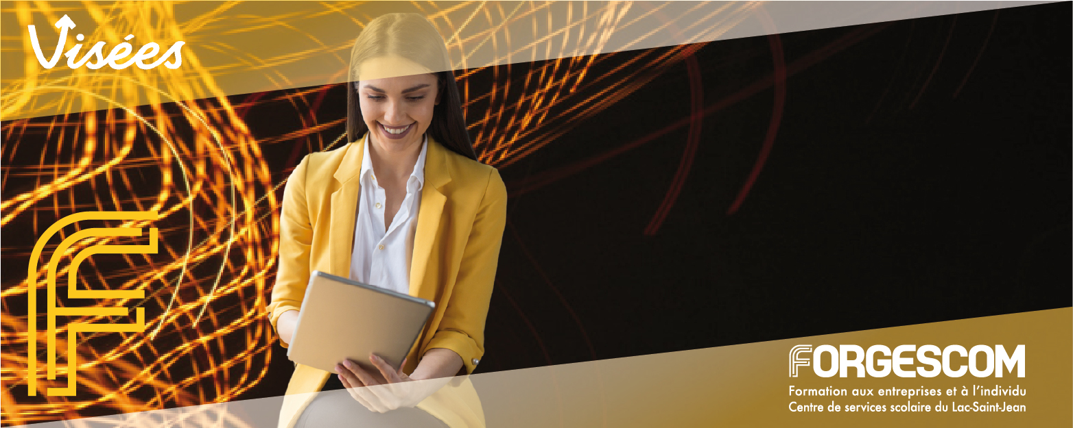 VISÉES WEB FORMATIONS CARROUSEL